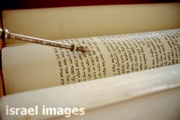 Merci. Seigneur pour la Sainte Bible.